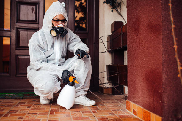 Reliable Ant Control contractor in East Providence, RI by Show Me Pest Control